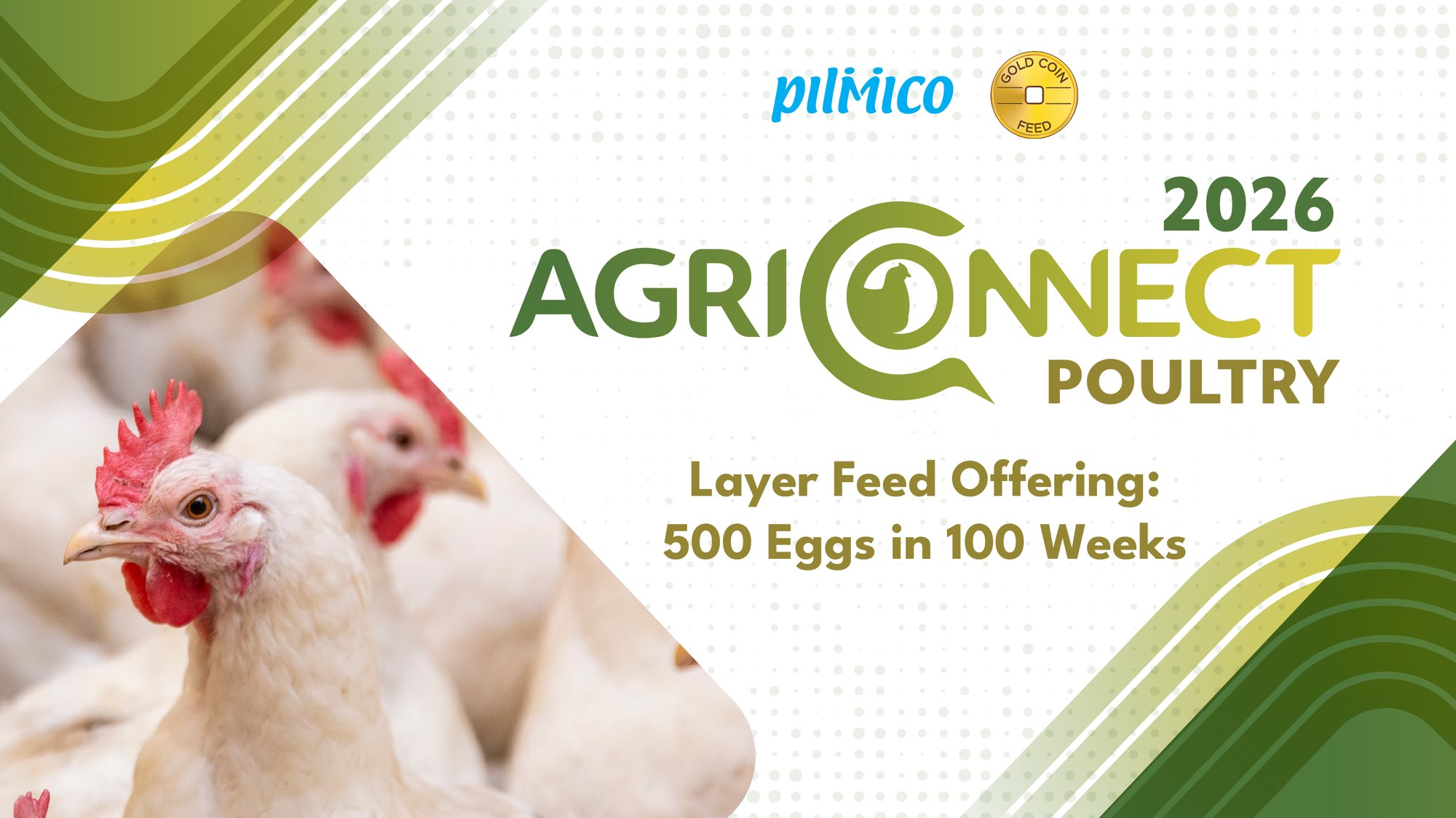 Agriconnect KV Poultry - HEADER