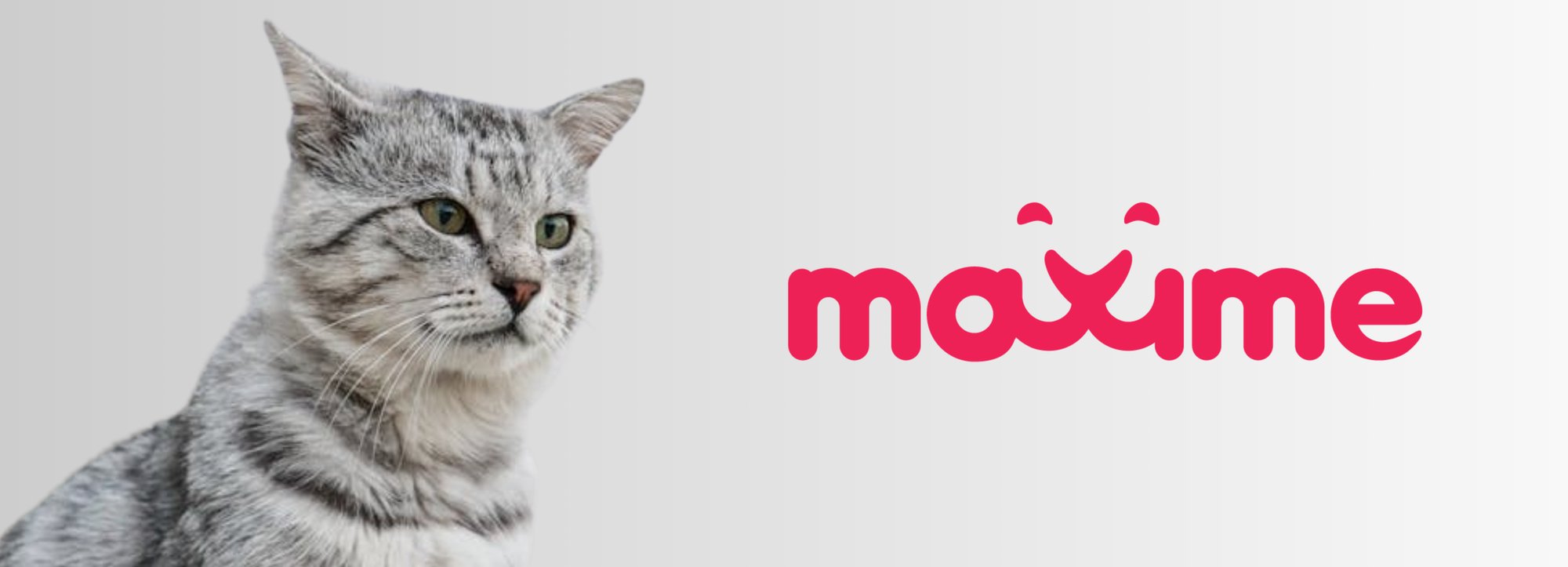 Maxime Cat - pink