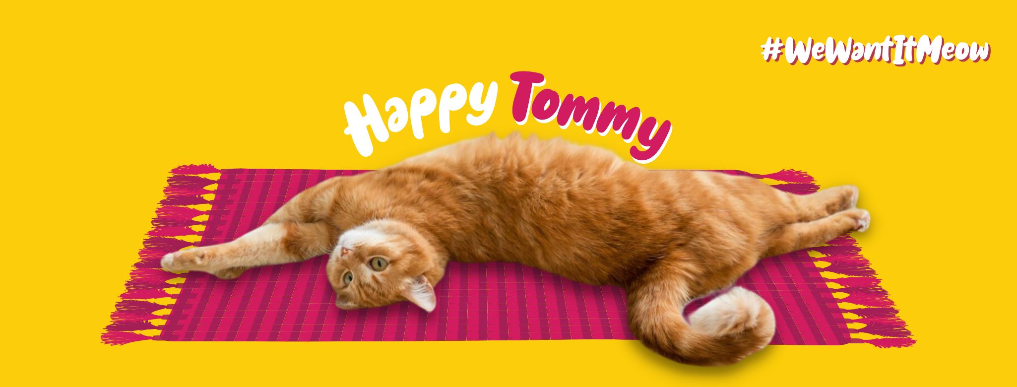 banner-tommy-cat-food